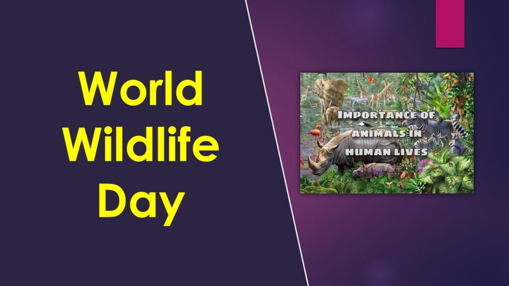 World Wildlife Day