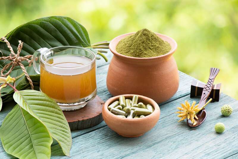 Indonesian Kratom’s Potential as a Herbal Alternative
