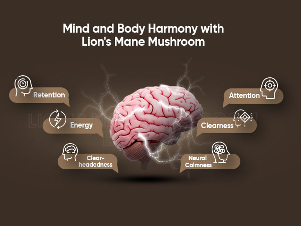 Mind-Body Harmony: Lion’s Mane and its Impact on Mental Well-being in the UK