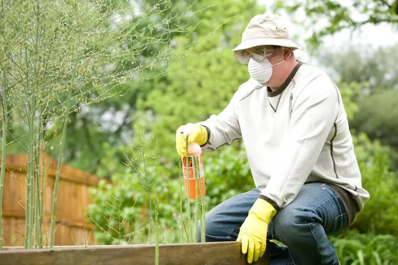 Pesticide Safety Tips- Things to Keep in Mind When Working with Pesticides