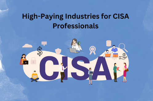 High-Paying Industries for CISA Professionals