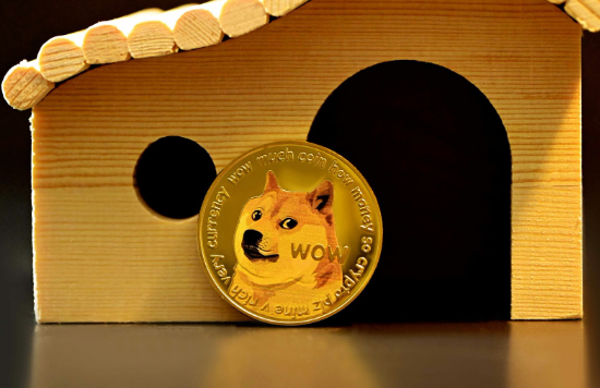 Cat Got Your Tongue? Meme Coins Climb in Anticipation of Ethereum ETF