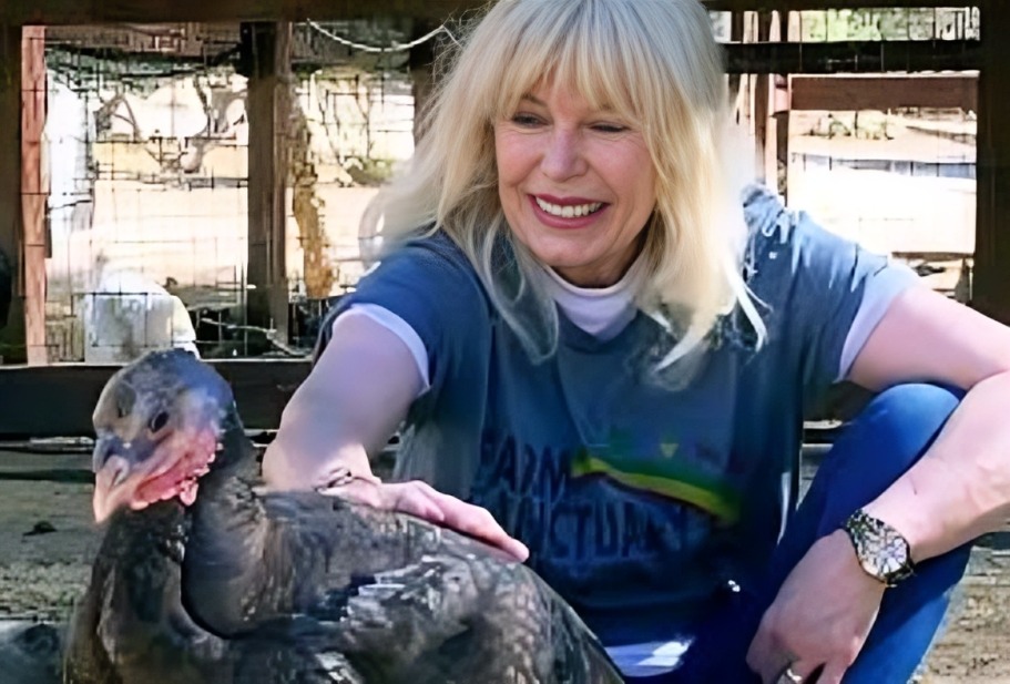 What is Loretta Swit Net worth? Her Earning Sources 2024