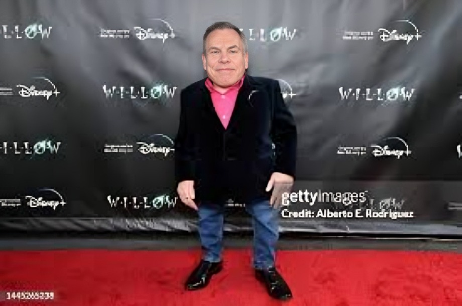 What Is Warwick Davis Net Worth? His Earning Sources 2024