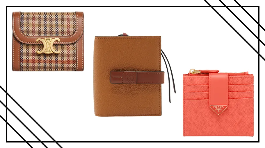 Great reasons for any fashionable woman to carry a designer cardholder