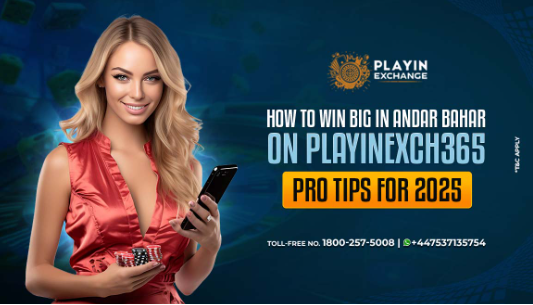 How to Win Big in Andar Bahar on Playinexch365: Pro Tips for 2025