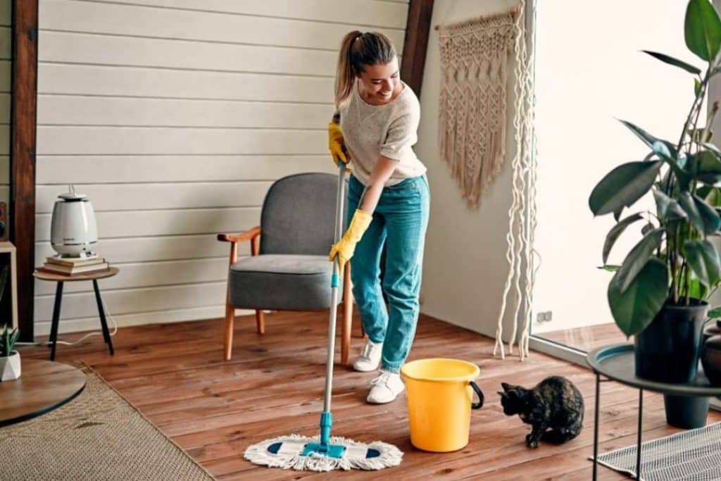 Effective Cleaning Hacks and Tips for Busy Homeowners