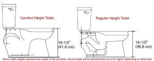 Standard Toilet Height