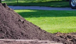 Top Soil Near me