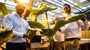 Lab-Banana.com Business