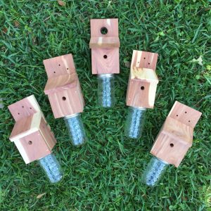 Carpenter Bee Traps