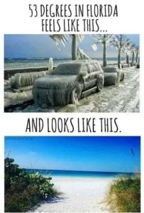 Florida Meme